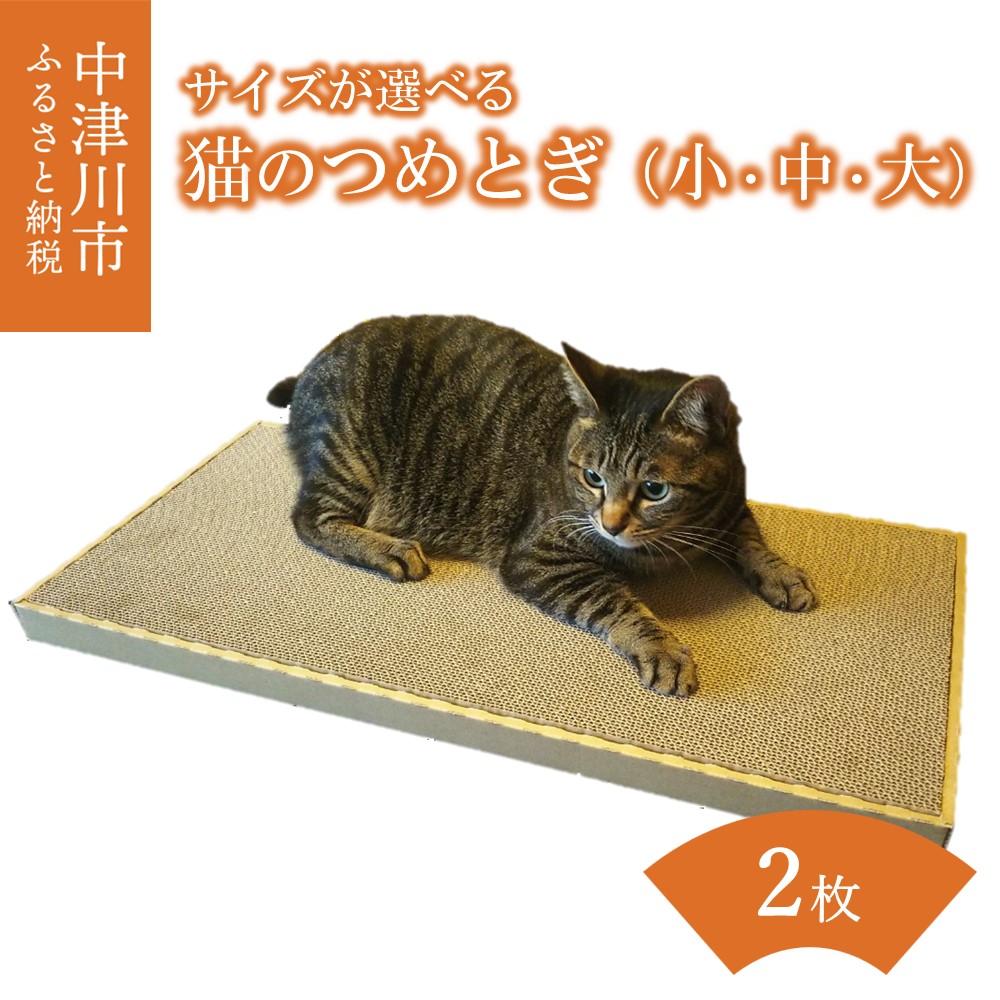 猫のつめとぎ（小）【まあまあ】おおきめサイズで2枚入り! F4N-1279