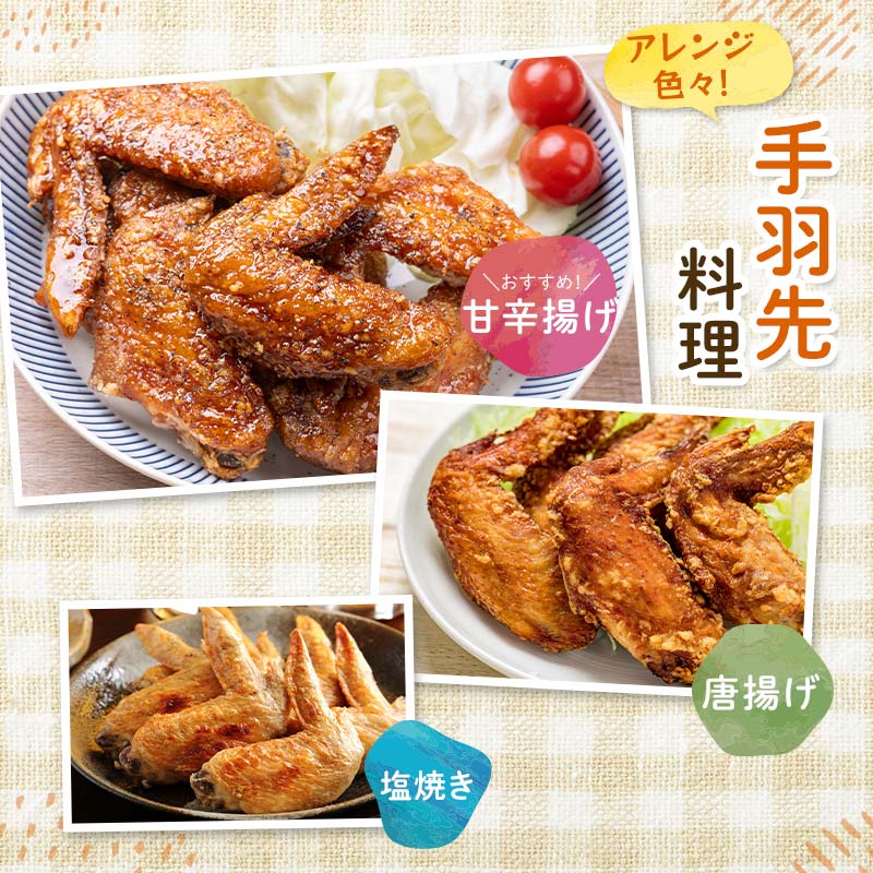 恵那とり手羽先 計2kg おつまみ とり肉 鶏 手羽 鶏肉 チキン 肉 食品 F4N-2406