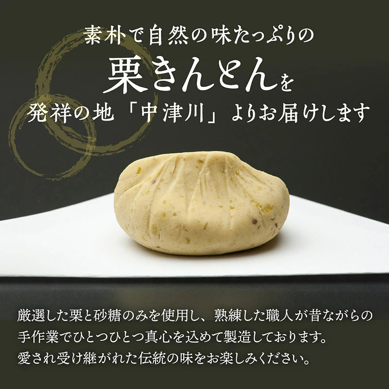 中津川銘菓：栗きんとん12個（6個入×2箱）[秋季限定]【2027年1月お届け】 F4N-2307