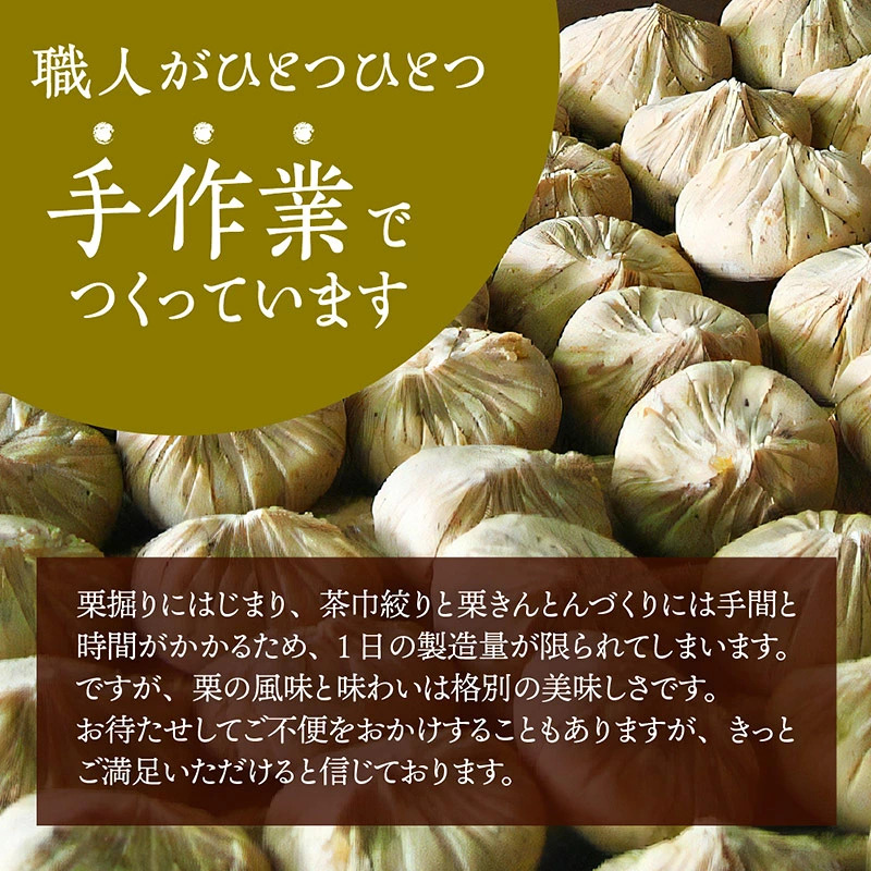 中津川銘菓：栗きんとん12個（6個入×2箱）[秋季限定]【2027年1月お届け】 F4N-2307