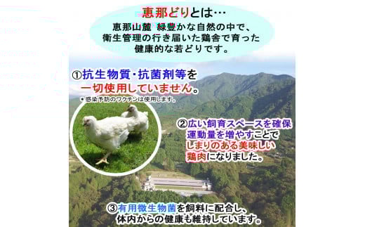 産地直送！恵那どり手羽元 5本×8パック 冷凍 F4N-2396