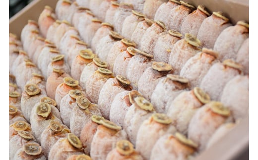 【2026年4月お届け】 御菓子所 川上屋 柿の美きんとん 10個入り F4N-1904