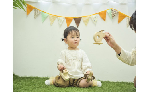 IKONIH 荵励j迚ゥ繧キ繝ェ繝シ繧コ F4N-0857