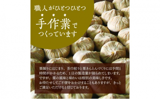 中津川銘菓：栗きんとん12個（6個入×2箱）[秋季限定]【11月お届け】 F4N-2305