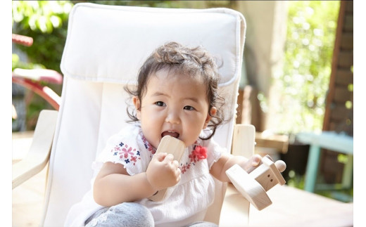 IKONIH 荵励j迚ゥ繧キ繝ェ繝シ繧コ F4N-0857