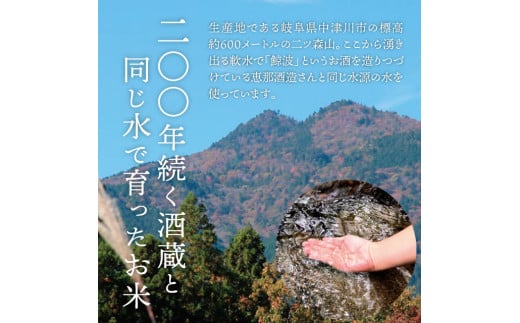 岐阜県産 棚田米 1等米コシヒカリ はちたか米 精米20kg F4N-1366