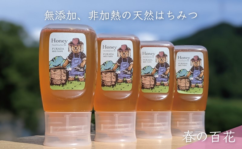 合計1200g 天然蜂蜜 国産蜂蜜 非加熱 生はちみつ 岐阜県 美濃市産 春 (蜂蜜300g入りピタッとボトル4本セット)A12