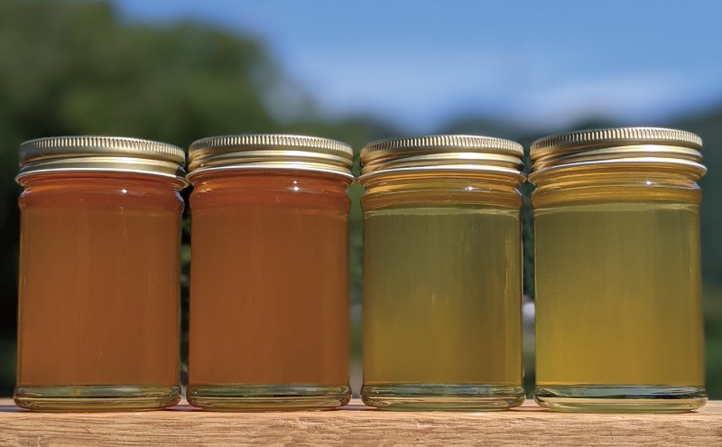 合計920g 天然蜂蜜 国産蜂蜜 非加熱 生はちみつ 岐阜県 美濃市産 味比べ 蜂蜜230ｇガラス瓶 4本セットC2 深田養蜂のハチミツ
