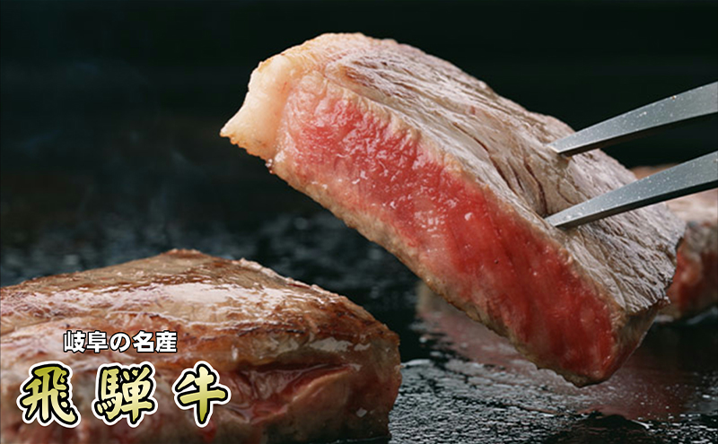 牛肉 飛騨牛 サーロイン ステーキ 600g(1枚 約300g×2枚) 黒毛和牛 Ａ5 美味しい お肉 牛 肉 和牛 サーロインステーキ 【岐阜県美濃市】