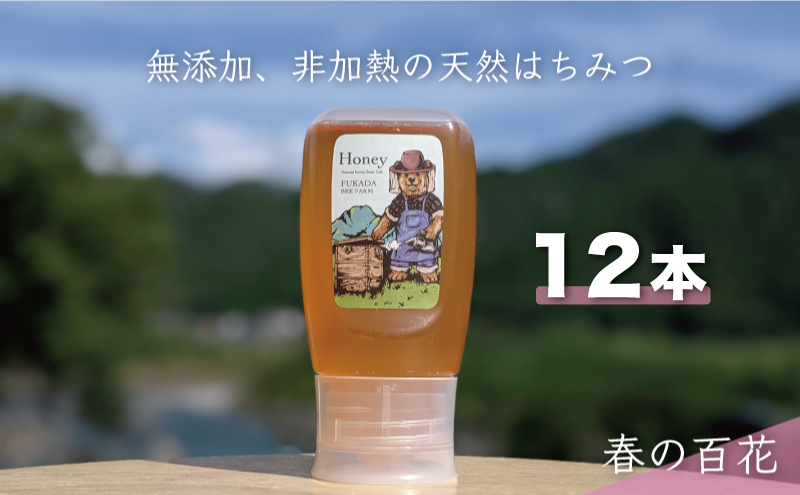 合計3600g 天然蜂蜜 国産蜂蜜 非加熱 生はちみつ 岐阜県 美濃市産 春 (蜂蜜300g入りピタッとボトル12本セット) A18