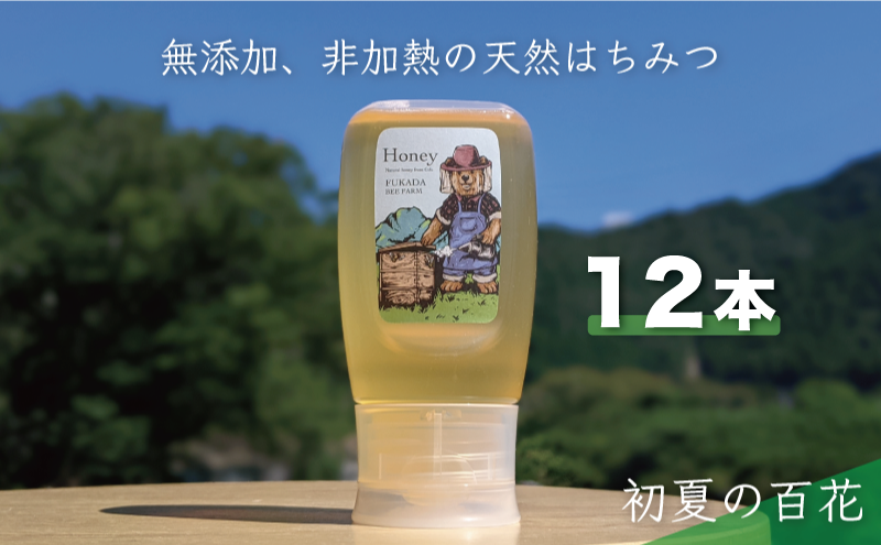 合計3600g 天然蜂蜜 国産蜂蜜 非加熱 生はちみつ 岐阜県 美濃市産 初夏 (蜂蜜300g入りピタッとボトル12本セット) B18