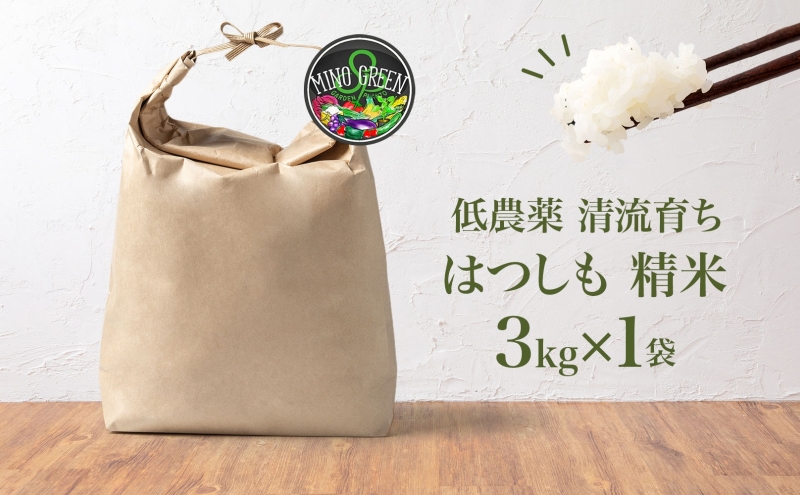 令和6年産 低農薬 清流育ち はつしも 精米 3kg×1袋 新米 お米 精白米 白米 米 ごはん 米 ご飯 ハツシモ あっさり ふっくら ブランド米 大粒 幻の米 お取り寄せ 自家用 贈答用 贈り物 御礼 産地直送 送料無料 美濃グリーン 岐阜県 美濃市