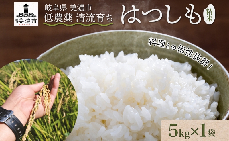 令和6年産 低農薬 清流育ち はつしも 精米 5kg×1袋 新米 お米 精白米 白米 米 ごはん 米 ご飯 ハツシモ あっさり ふっくら ブランド米 大粒 幻の米 お取り寄せ 自家用 贈答用 贈り物 御礼 産地直送 送料無料 美濃グリーン 岐阜県 美濃市