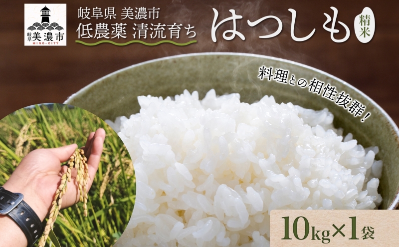 令和6年産 低農薬 清流育ち はつしも 精米 10kg×1袋 新米 お米 精白米 白米 米 ごはん 米 ご飯 ハツシモ あっさり ふっくら ブランド米 大粒 幻の米 お取り寄せ 自家用 贈答用 贈り物 御礼 産地直送 送料無料 美濃グリーン 岐阜県 美濃市