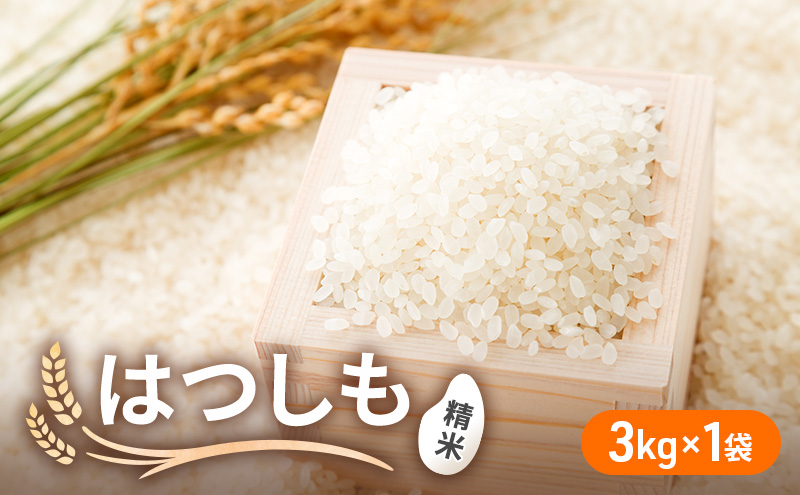 令和6年産 低農薬 清流育ち はつしも 精米 3kg×1袋 新米 お米 精白米 白米 米 ごはん 米 ご飯 ハツシモ あっさり ふっくら ブランド米 大粒 幻の米 お取り寄せ 自家用 贈答用 贈り物 御礼 産地直送 送料無料 美濃グリーン 岐阜県 美濃市