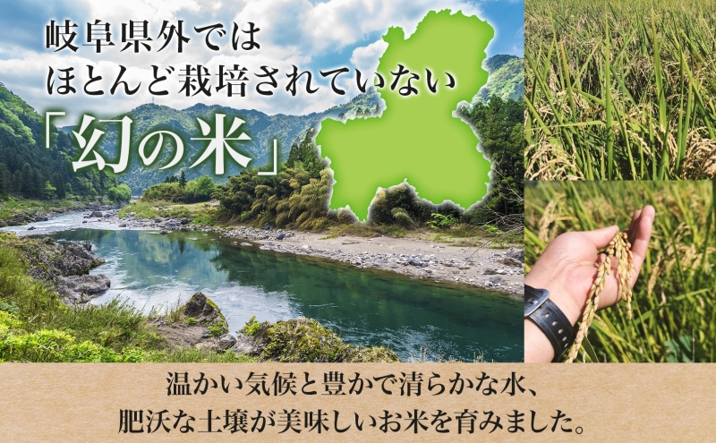 令和6年産 低農薬 清流育ち はつしも 精米 3kg×1袋 新米 お米 精白米 白米 米 ごはん 米 ご飯 ハツシモ あっさり ふっくら ブランド米 大粒 幻の米 お取り寄せ 自家用 贈答用 贈り物 御礼 産地直送 送料無料 美濃グリーン 岐阜県 美濃市