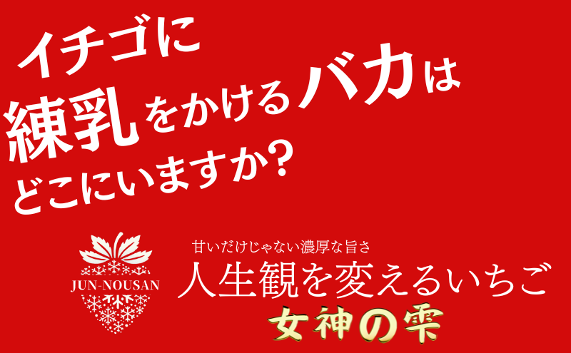 「今までで1番旨い」とグルメ家がうなったイチゴ【女神の雫】/2025年1月から3月/450g/岐阜県/美濃市/じゅん農産/2
