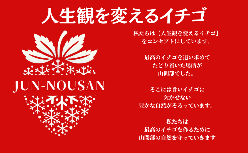 「今までで1番旨い」とグルメ家がうなったイチゴ【女神の雫】/2025年1月から3月/450g/岐阜県/美濃市/じゅん農産/1