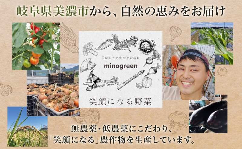 令和6年産 低農薬 清流育ち はつしも 精米 3kg×1袋 新米 お米 精白米 白米 米 ごはん 米 ご飯 ハツシモ あっさり ふっくら ブランド米 大粒 幻の米 お取り寄せ 自家用 贈答用 贈り物 御礼 産地直送 送料無料 美濃グリーン 岐阜県 美濃市