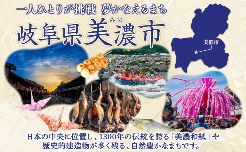 令和6年産 低農薬 清流育ち はつしも 精米 3kg×1袋 新米 お米 精白米 白米 米 ごはん 米 ご飯 ハツシモ あっさり ふっくら ブランド米 大粒 幻の米 お取り寄せ 自家用 贈答用 贈り物 御礼 産地直送 送料無料 美濃グリーン 岐阜県 美濃市