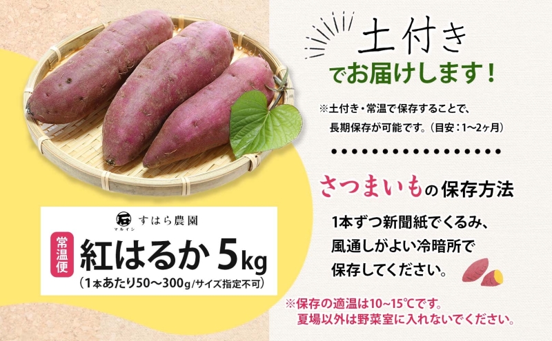 さつまいも 紅はるか 土付き 5kg 栽培期間中 化学肥料不使用 サツマイモ さつま芋 スイートポテト 野菜 旬 芋 甘い お取り寄せ 産地直送 産直 農場 人気 送料無料 マルイシすはら農園 岐阜県 美濃市