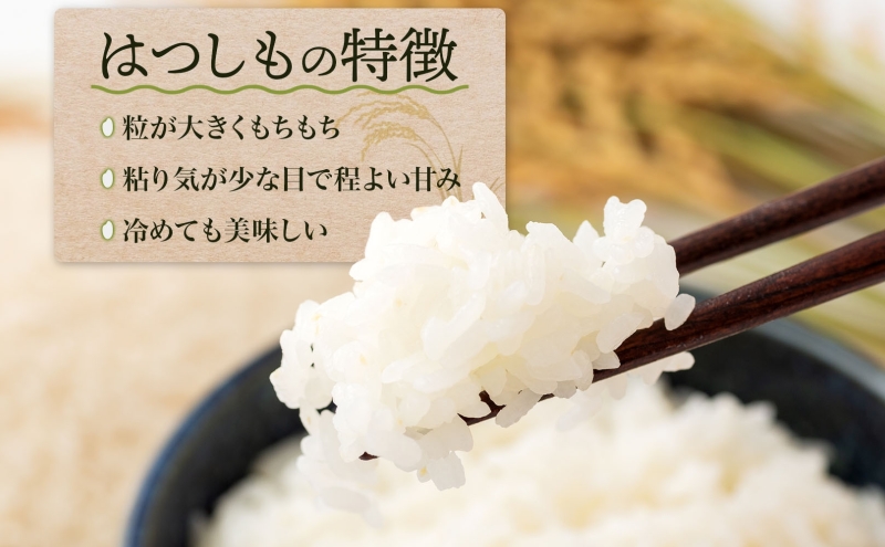 ＜先行予約＞令和7年産 はつしも 精米 10kg×1袋 低農薬 清流育ち 新米 お米 白米 米 ごはん ご飯 ハツシモ R7年産 ブランド米 産地直送 送料無料 美濃グリーン 岐阜県 美濃市 ■2025年11月下旬より順次発送