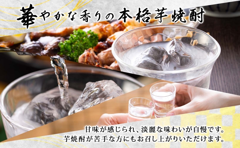 本格 芋焼酎 えっきょう 25度 720ml 瓶 2本 Ekkyo 焼酎 乙類 お酒 アルコール 飲料 さつまいも 紅はるか 芋 いも イモ G酵母 オリジナル 晩酌 家飲み プレゼント 贈り物 ギフト 父の日 お中元 お歳暮 誕生日 自家用 送料無料 紫屋  岐阜県 美濃市