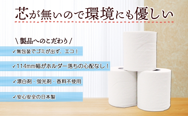 定期便 3ヶ月毎3回 無包装 芯なしトイレットペーパー シングル 170m 48ロール 紙 3倍巻き ペーパー 日用品 消耗品 再生紙 無香料 備蓄 まとめ買い 防災 JIS規格 送料無料 川一製紙 岐阜県 美濃市 ※配送不可地域：北海道・沖縄県・離島
