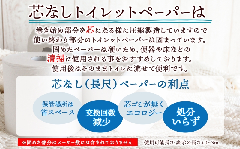 定期便 2ヶ月毎3回 無包装 芯なしトイレットペーパー シングル 170m 48ロール 紙 3倍巻き ペーパー 日用品 消耗品 再生紙 無香料 備蓄 まとめ買い 防災 JIS規格 送料無料 川一製紙 岐阜県 美濃市 ※配送不可地域：北海道・沖縄県・離島