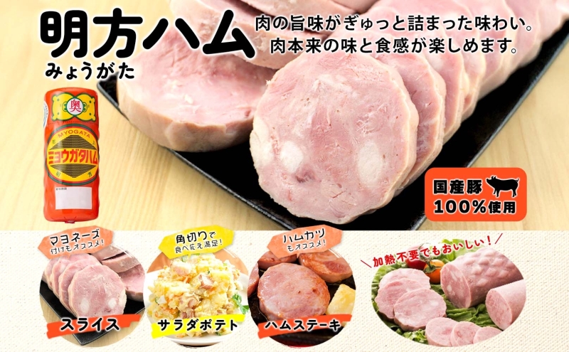 明方 ハム 2本 プレスハム JA ブランド 豚肉 お肉 国産 熟成 塩分 控えめ 豚腸 バーベキュー BBQ 加工品 お取り寄せ 贈答 ギフト 送料無料 めぐみの農業協同組合 岐阜県 美濃市