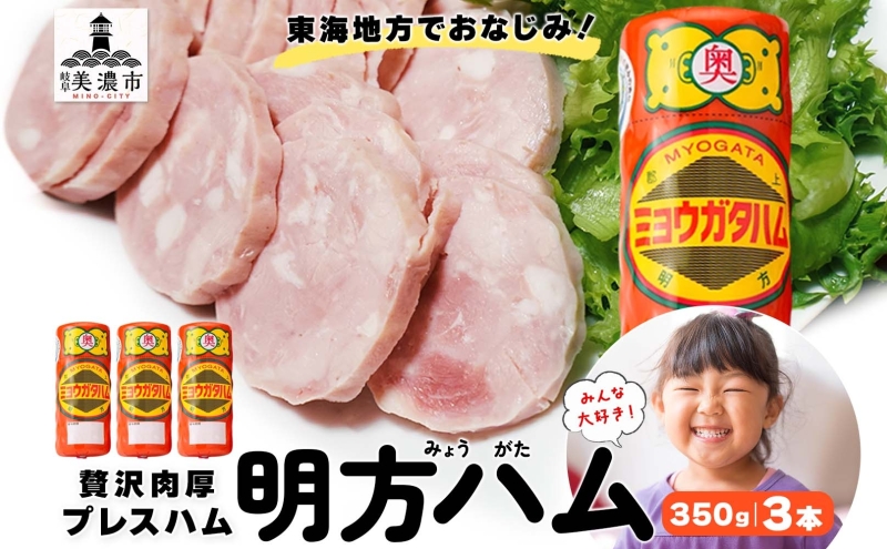 明方 ハム 3本 プレスハム JA ブランド 豚肉 お肉 国産 熟成 塩分 控えめ 豚腸 バーベキュー BBQ 加工品 お取り寄せ 贈答 ギフト 送料無料 めぐみの農業協同組合 岐阜県 美濃市