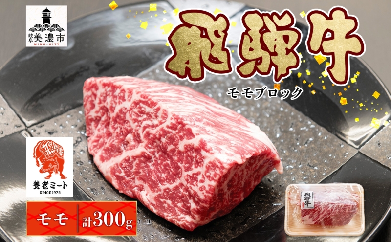 飛騨牛 モモブロック 300g×1P　計300g モモ肉 もも肉 ブロック ブロック肉 ももブロック 肉 牛肉 牛 ビーフ 和牛 和牛ステーキ 国産 国産肉 日本産 ローストビーフ ステーキ 冷凍保存 ご当地 お取り寄せグルメ 送料無料 岐阜県美濃市