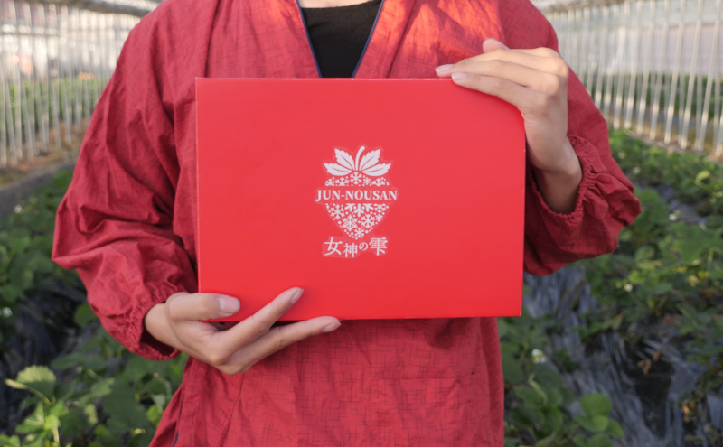 【訳あり】「今までで1番うまい」とグルメ家がうなったイチゴ【女神の雫】 2026年1月 2月 3月 4月 450g 岐阜県 美濃市 じゅん農産 訳アリ 苺