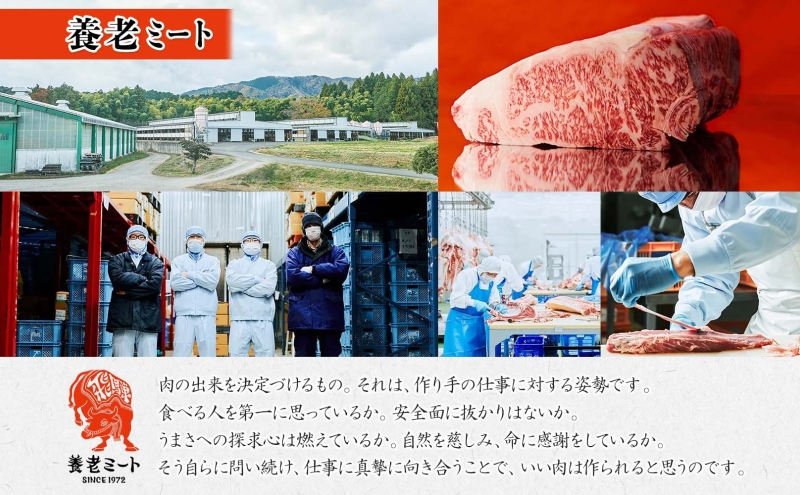 飛騨牛 モモorカタ すき焼きしゃぶしゃぶ用 500g モモ肉 肩ロース ロース肉 すき焼き しゃぶしゃぶ 鍋 鍋料理 国産 国産牛 和牛 牛肉 牛 肉 日本産 お取り寄せグルメ お取り寄せ ご当地 送料無料 岐阜県 美濃市