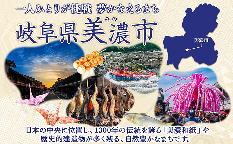 定期便 2ヶ月毎 3回お届け 水に流せる BOXティッシュ 50箱 ティッシュ ティッシュペーパー 箱ティッシュ 紙製品 日用品 消耗品 生活必需品 衛生用品 非常用 備蓄 ストック まとめ買い 防災 国産 日本製 送料無料 川一製紙 岐阜県 美濃市