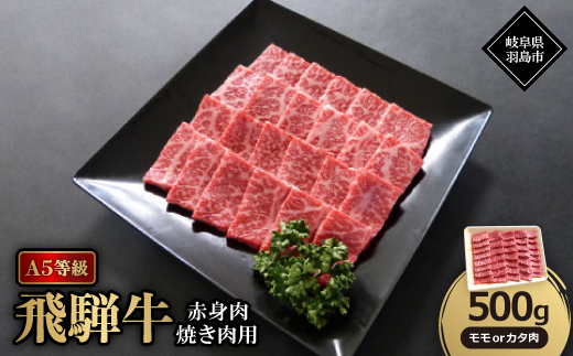 A5等級飛騨牛:赤身肉焼肉用500g　モモ又はカタ肉【配送不可地域：離島】【1539485】