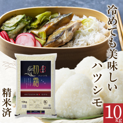 【精米済】新米　岐阜県産ハツシモ　10kg　令和6年産【1530877】