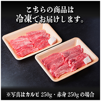 飛騨牛 カルビ・赤身(焼肉用)600g(各300g)【配送不可地域：離島】【1543762】