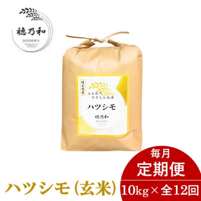 【毎月定期便】岐阜県産ハツシモ(玄米)10kg全12回【配送不可地域：離島】【4056237】