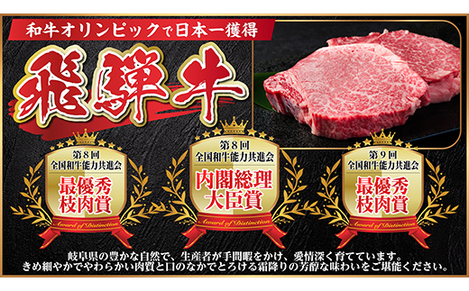 【毎月定期便】飛騨牛 シャトーブリアン 300g(150g×2枚)【冷蔵便】全3回【配送不可地域：離島】【4053245】