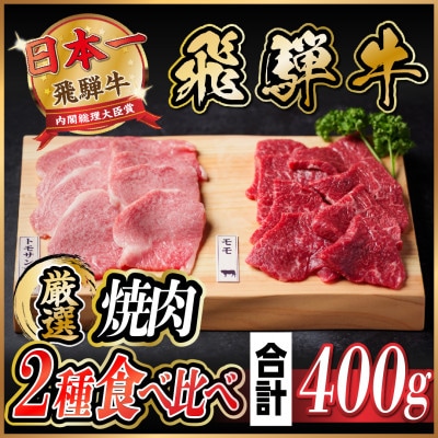 飛騨牛　トモサンカク・モモ焼肉　約400g(各約200g)【配送不可地域：離島】【1531166】