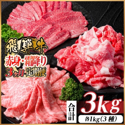 【毎月定期便】飛騨牛 赤身・霜降り定期便 計3kg　焼肉 BBQ すき焼き しゃぶしゃぶ全3回【配送不可地域：離島】【4074985】