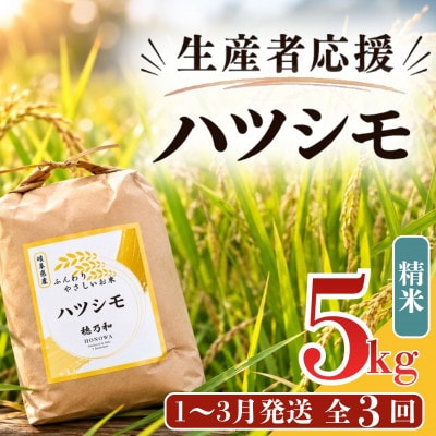 【発送月固定定期便】【先行予約】生産者応援!岐阜県産ハツシモ(精米)5kg【1〜3月発送】全3回【配送不可地域：離島】【4073730】