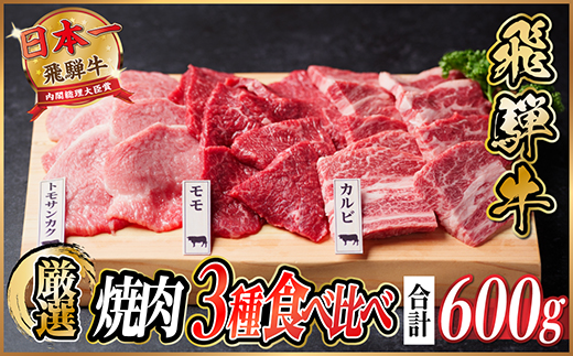 飛騨牛　焼肉厳選3種食べ比べセット(カルビ・トモサンカク・モモ)　約600g【配送不可地域：離島】【1531174】