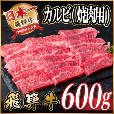 飛騨牛 厳選カルビ(焼肉・BBQ用) 600g(300g×2) 黒毛和牛 小分け A4〜A5等級【配送不可地域：離島】【1543783】