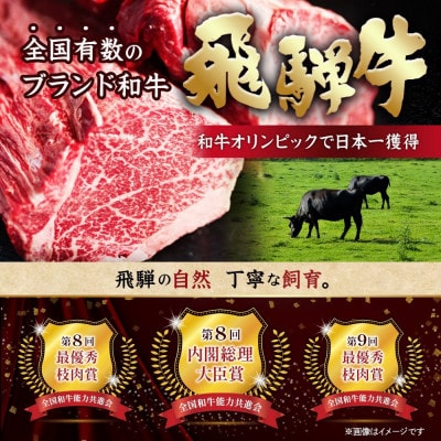 飛騨牛　切り落とし　約4kg(約500g×8)【冷蔵便】A4〜A5等級 黒毛和牛 小分け【配送不可地域：離島】【1531527】