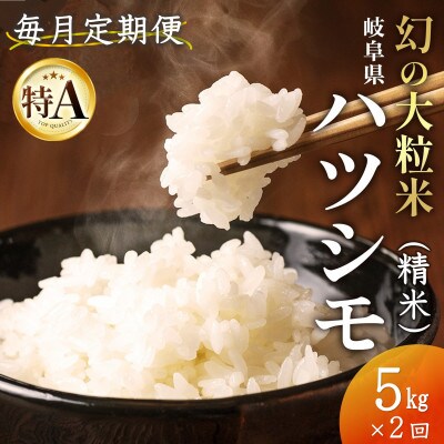 【毎月定期便】岐阜県産ハツシモ(精米) 5kg全2回【配送不可地域：離島】【4076401】
