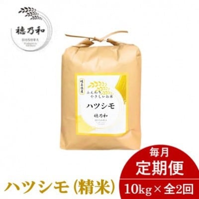 【発送月固定定期便】【先行予約】岐阜県産ハツシモ(精米)10kg全2回【配送不可地域：離島】【4072334】