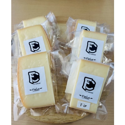 セミハードチーズ　Field　2種セット【配送不可地域：離島】【1692094】