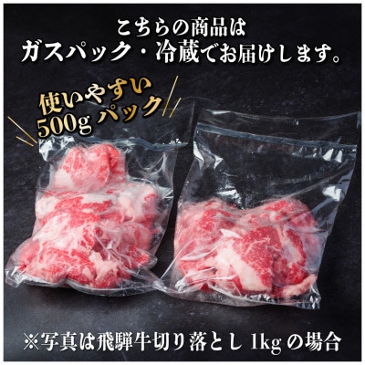 【毎月定期便】飛騨牛　切り落とし　約1kg【冷蔵便】全6回【配送不可地域：離島】【4055087】